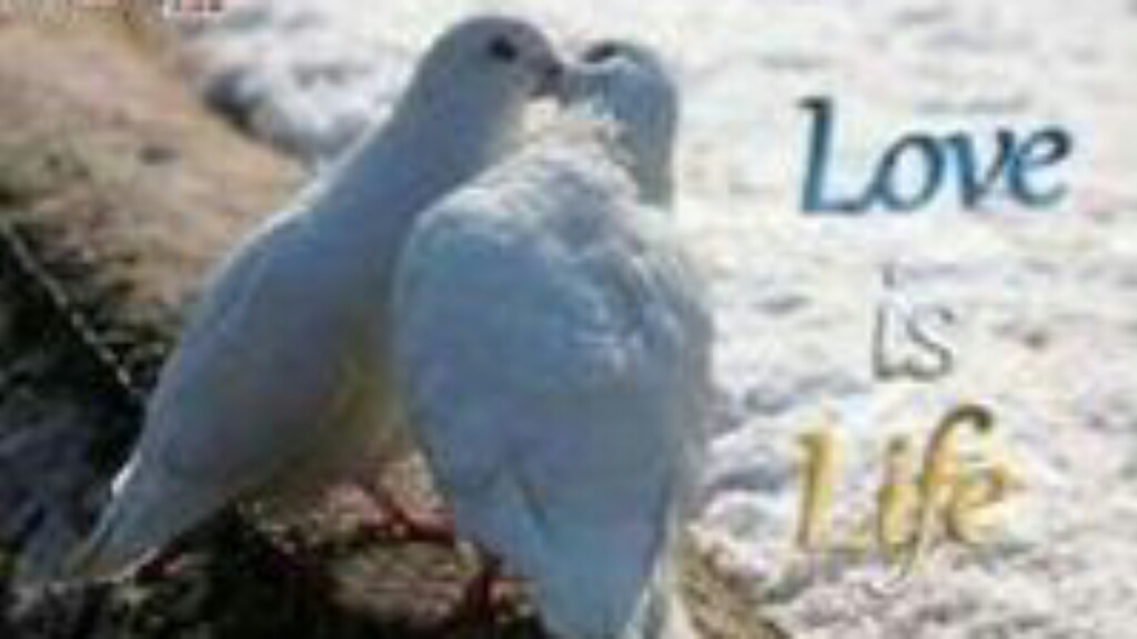 Picsart banner for @kapil