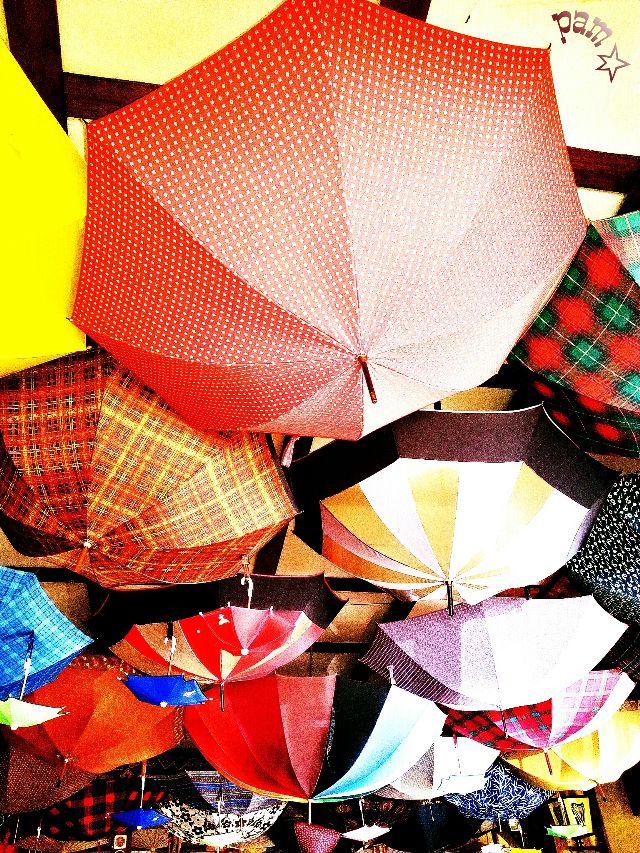 pictures of umbrellas