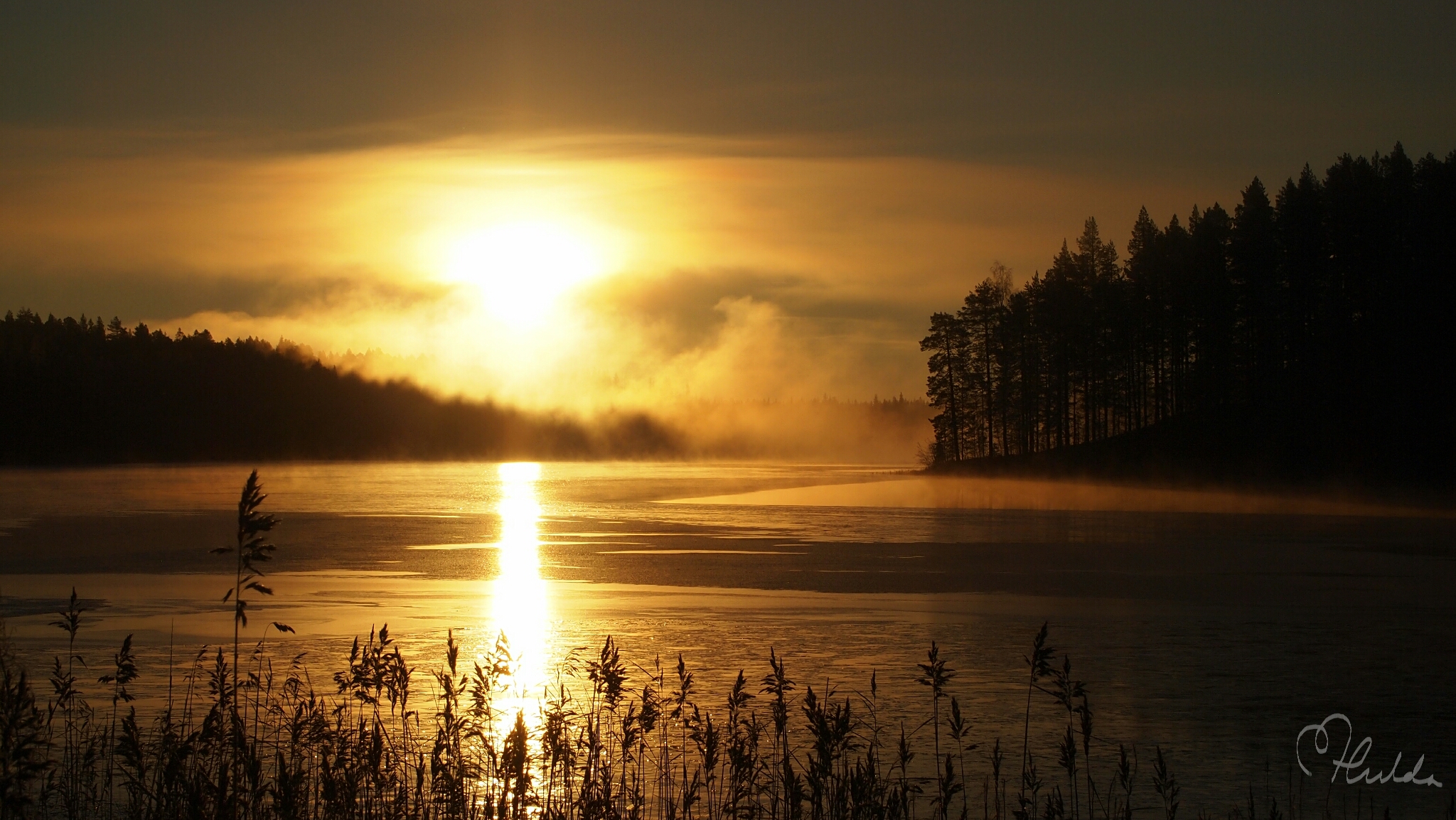 Experience the Beautiful Nature of Sweden’s Lapland - Create + Discover ...